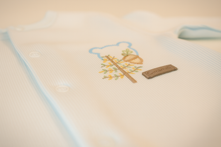 Dreamy Forest Boxpakje