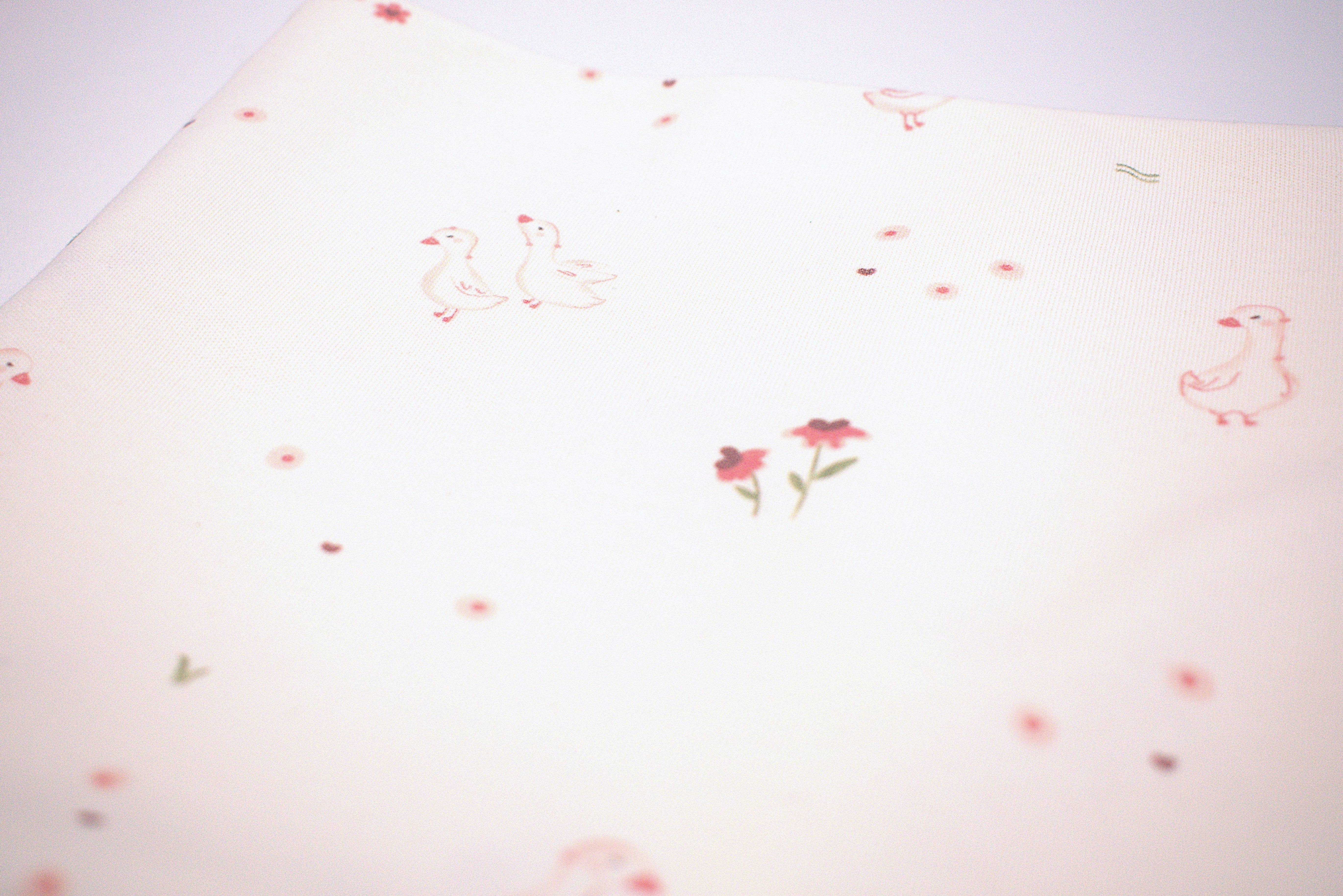 Essentials set - Little Goose